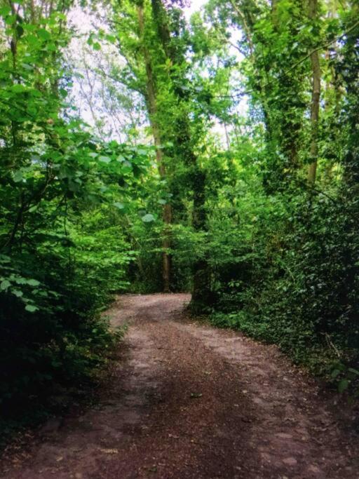 Cosy Woodland Romantic Retreat With Log Fires And Nature Sturry Eksteriør billede