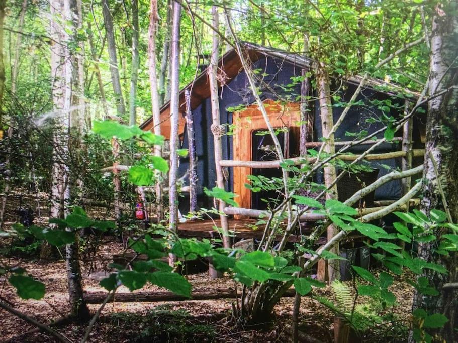 Cosy Woodland Romantic Retreat With Log Fires And Nature Sturry Eksteriør billede
