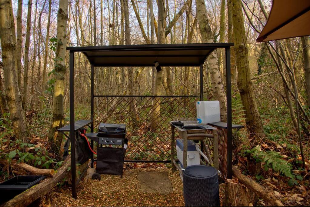 Cosy Woodland Romantic Retreat With Log Fires And Nature Sturry Eksteriør billede