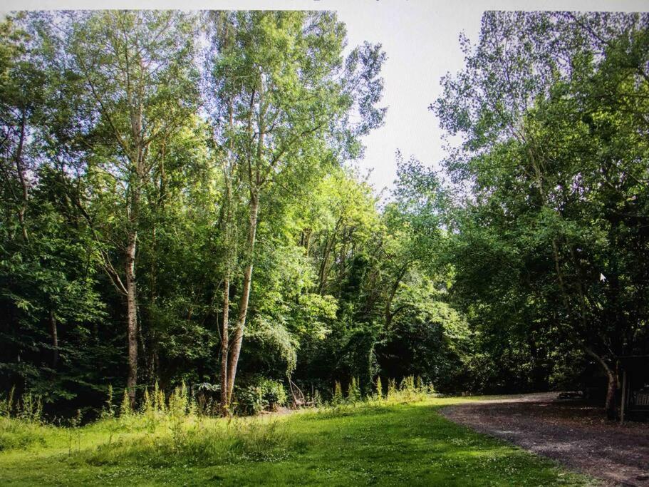 Cosy Woodland Romantic Retreat With Log Fires And Nature Sturry Eksteriør billede