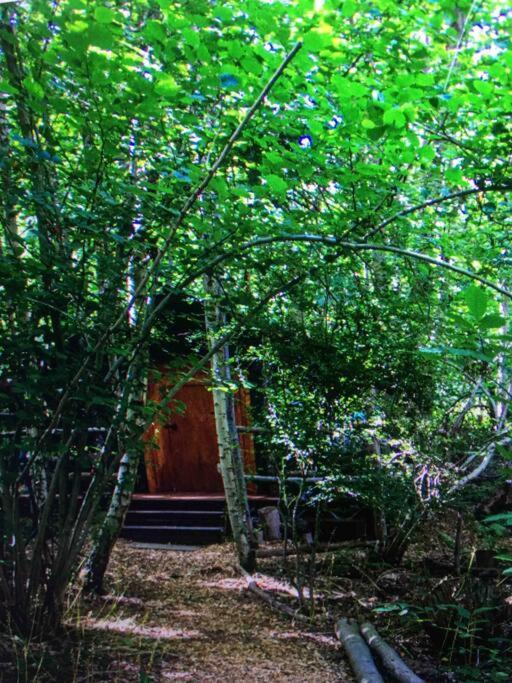 Cosy Woodland Romantic Retreat With Log Fires And Nature Sturry Eksteriør billede