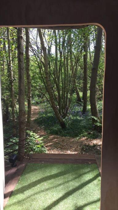 Cosy Woodland Romantic Retreat With Log Fires And Nature Sturry Eksteriør billede