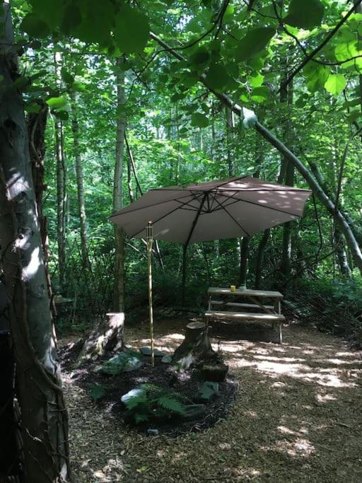 Cosy Woodland Romantic Retreat With Log Fires And Nature Sturry Eksteriør billede