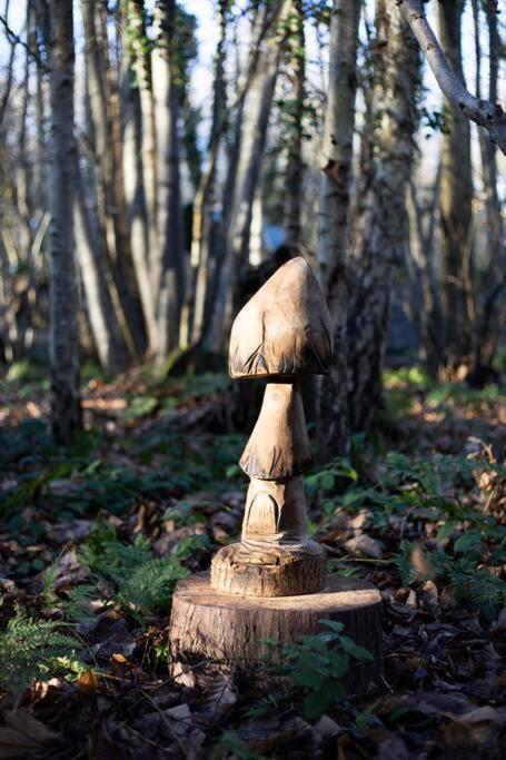 Cosy Woodland Romantic Retreat With Log Fires And Nature Sturry Eksteriør billede