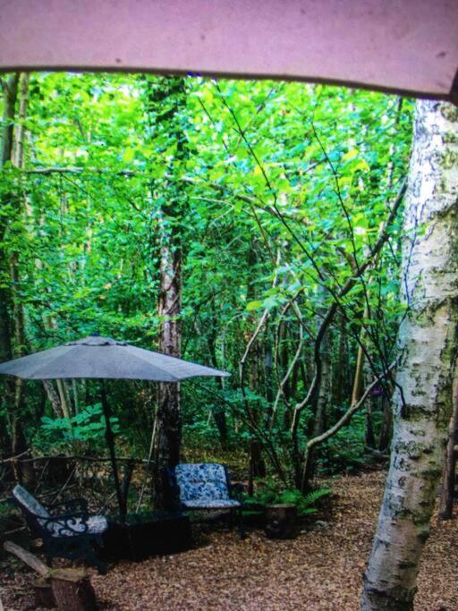 Cosy Woodland Romantic Retreat With Log Fires And Nature Sturry Eksteriør billede