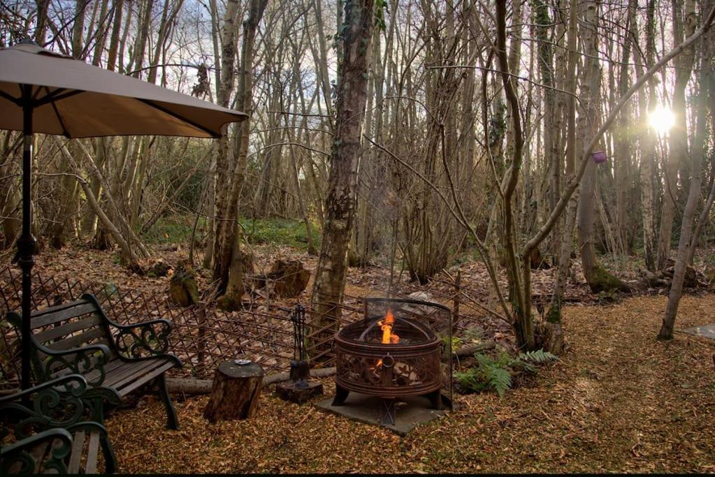 Cosy Woodland Romantic Retreat With Log Fires And Nature Sturry Eksteriør billede